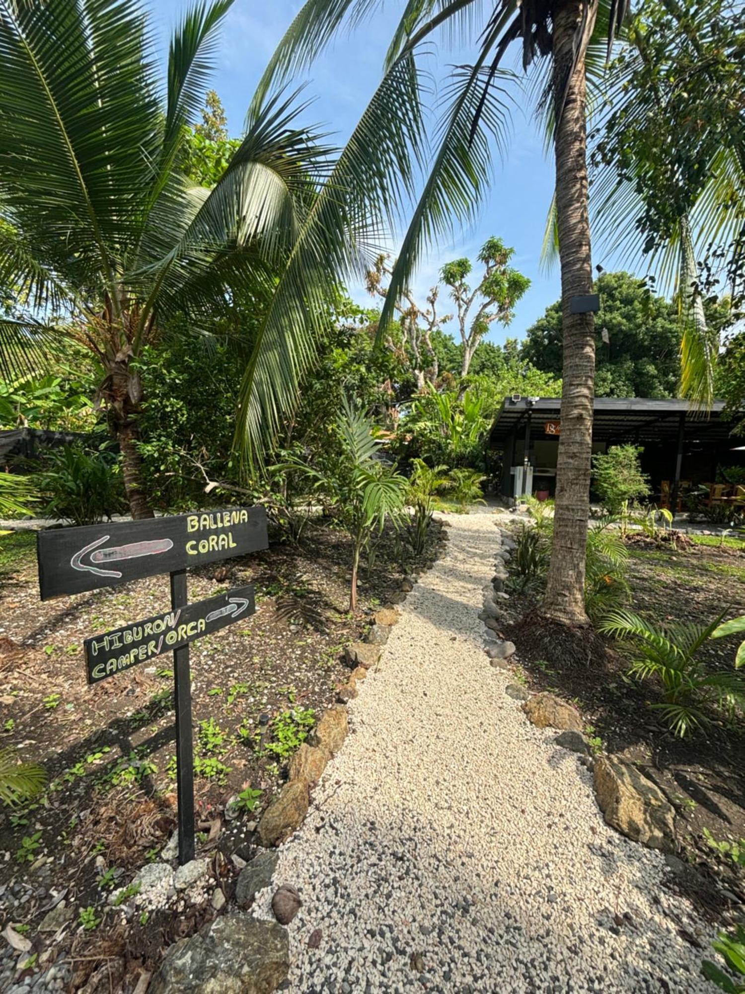 ホテル Ds House Cabuya  エクステリア 写真