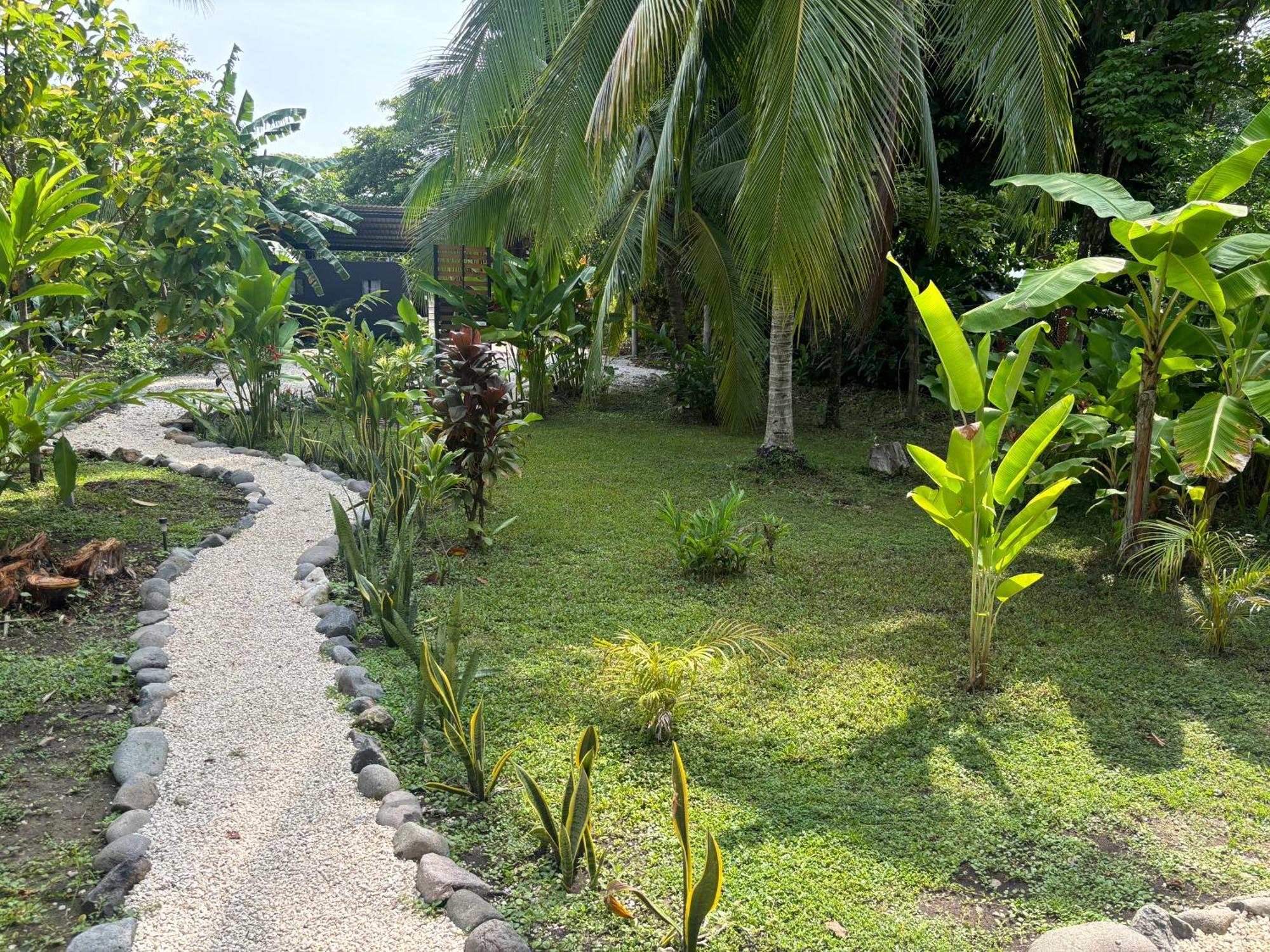 ホテル Ds House Cabuya  エクステリア 写真