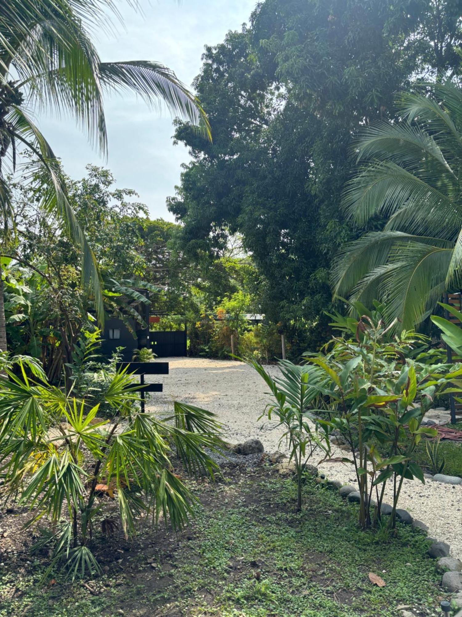 ホテル Ds House Cabuya  エクステリア 写真