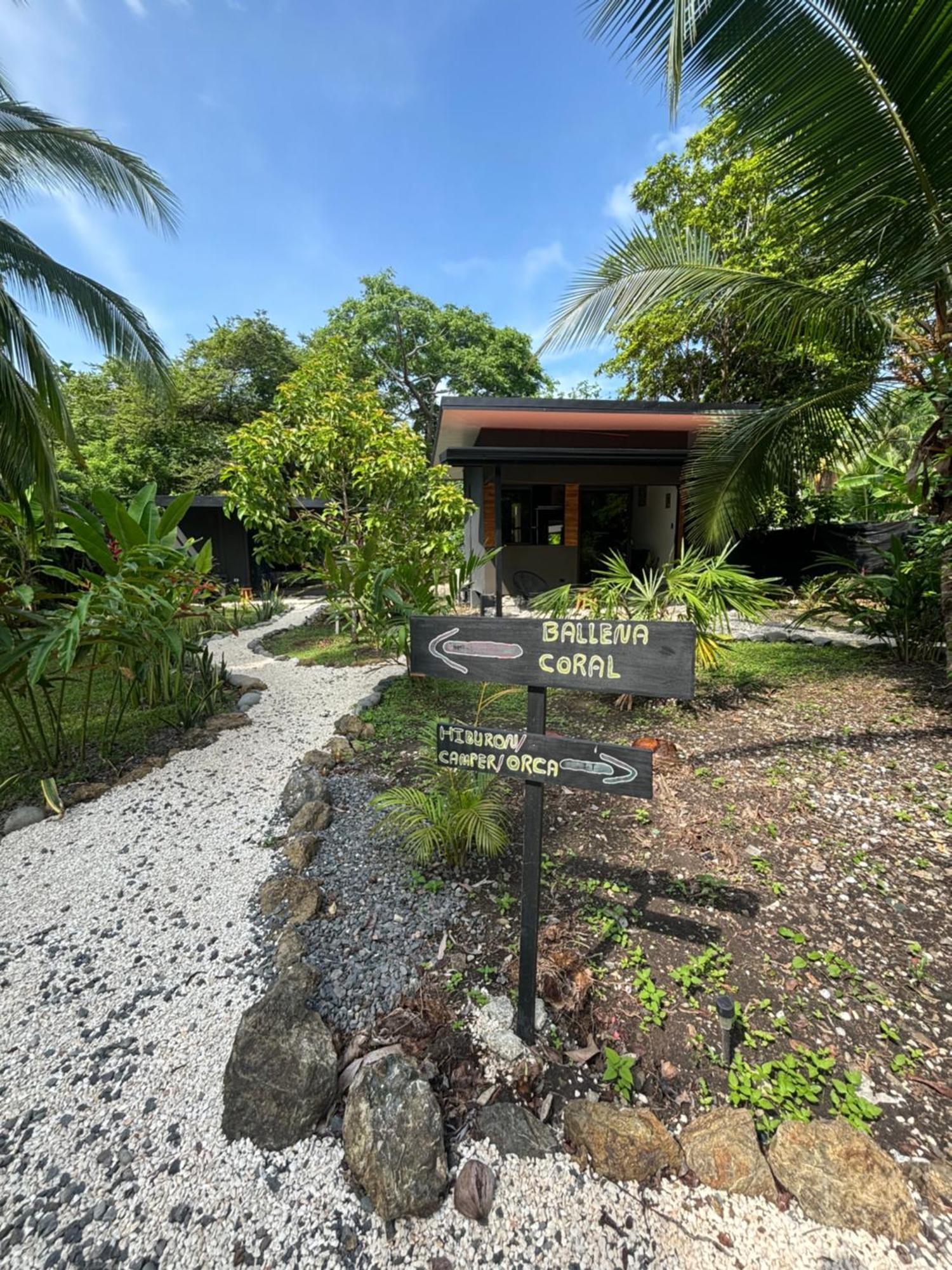 ホテル Ds House Cabuya  エクステリア 写真